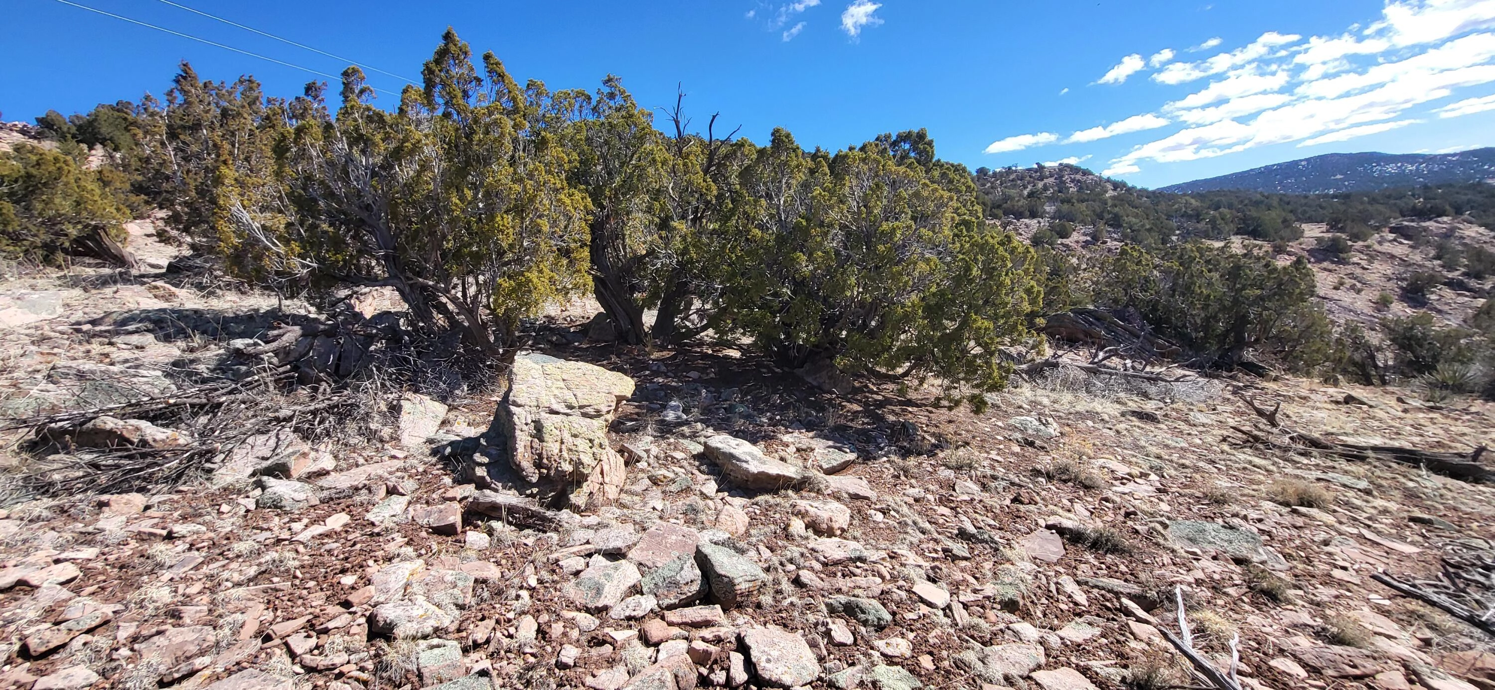 lot35 Blf Rd