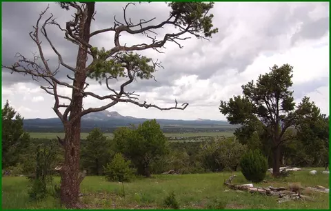 25 Comeback Way, Datil, NM 87821 photo 1