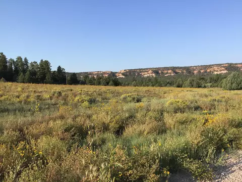 lot14 Elk Dr, Ramah, NM 87321