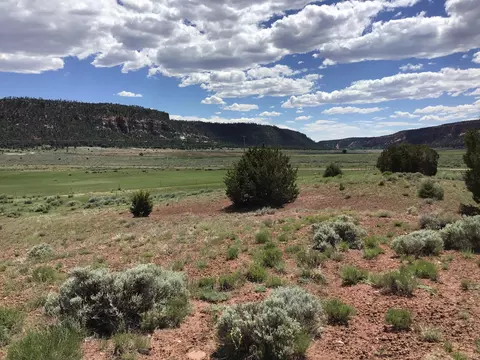 lot D Timberlake Rd, Ramah, NM 87321