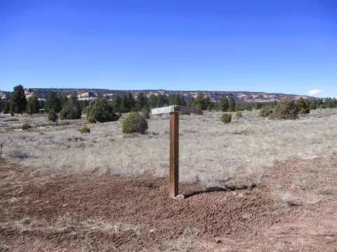 lot10 Sagebrush Rd, Ramah, NM 87321