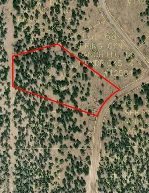lot70 Creekside Dr, Quemado, NM 87829