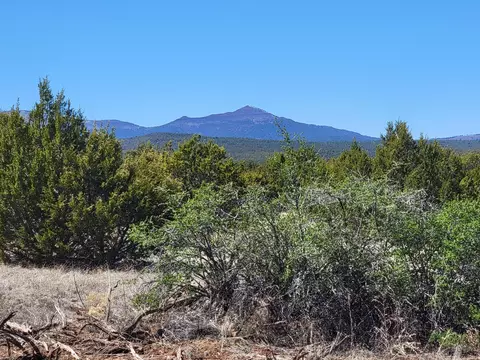 172 Rosewood Dr, Tajique, NM 87016