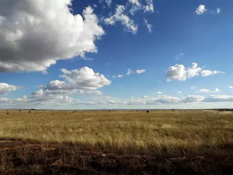 Palomino Drive, Moriarty, NM 87035