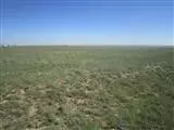 Palomino Dr, Moriarty, NM 87035