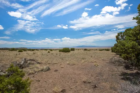 96 Sugarloaf Trl, Datil, NM 87821 photo 8
