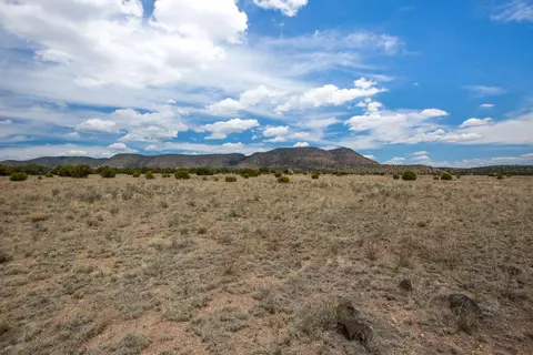 96 Sugarloaf Trl, Datil, NM 87821 photo 7