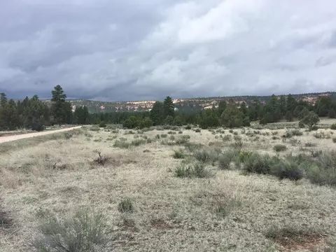 lot2 Elk Rd, Ramah, NM 87321