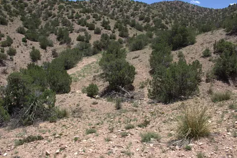 Tres Amigos Road, Placitas, NM 87043