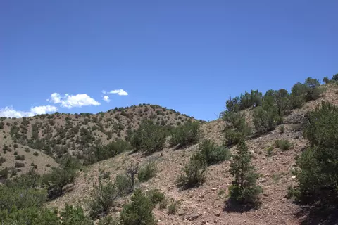 Tres Amigos, Placitas, NM 87043