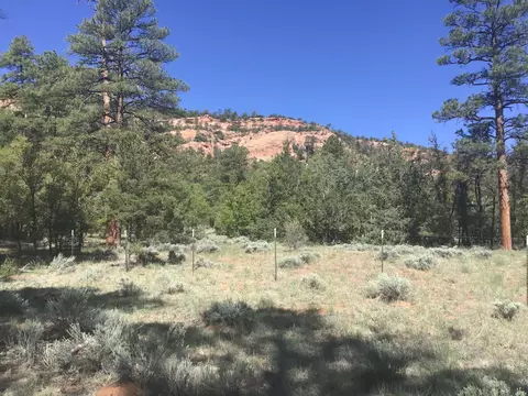 lot33 Aspen Loop, Ramah, NM 87321