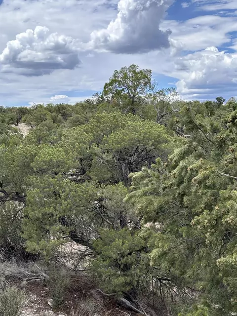 lot43 Abbe Spings, Magdalena, NM 87825