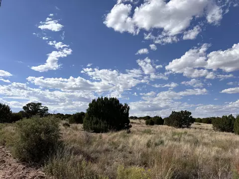 lot43 Pinon Springs Rnch, Magdalena, NM 87825