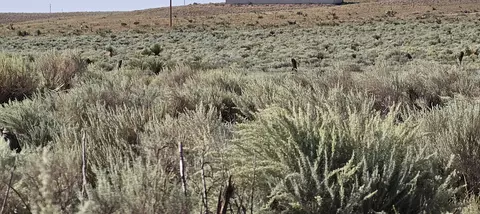 Vl Tg Lot 3 Lot 4 Block 22 #10, Socorro, NM 87801