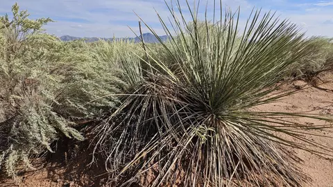 Vl Tierra Grande Lot 4 Block 11 #10, Socorro, NM 87801