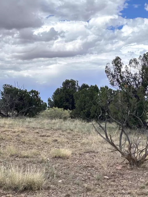 lot95 Abbe Spgs, Magdalena, NM 87825