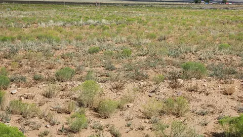 VL Lot: 2 Block: 599 #25, Belen, NM 87002