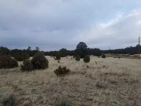 12 And 13 Ranchero Rd, Pie Town, NM 87827