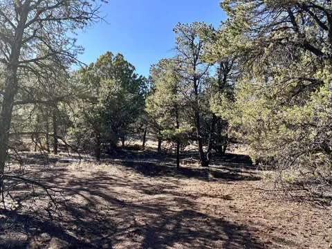 lot163 Windmill Dr, Datil, NM 87821