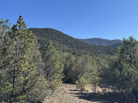Tract 4 Verde Road, Taos, NM 87571