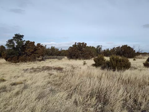 Seventh Street, Mountainair, NM 87036