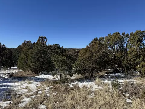 21 Punch Ct, Tijeras, NM 87059
