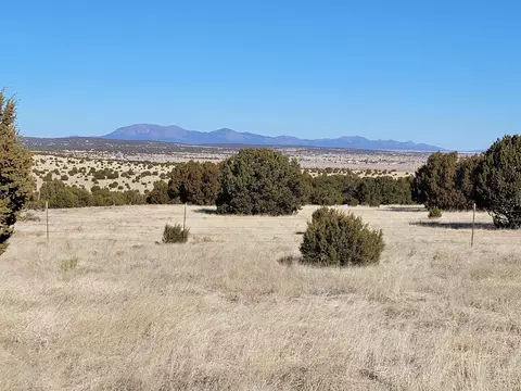 43 Bullock Rd, Moriarty, NM 87035