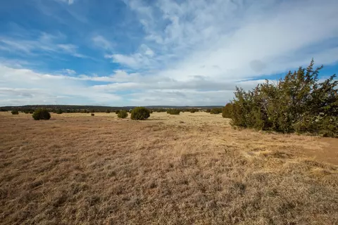 Bushnell, Edgewood, NM 87015