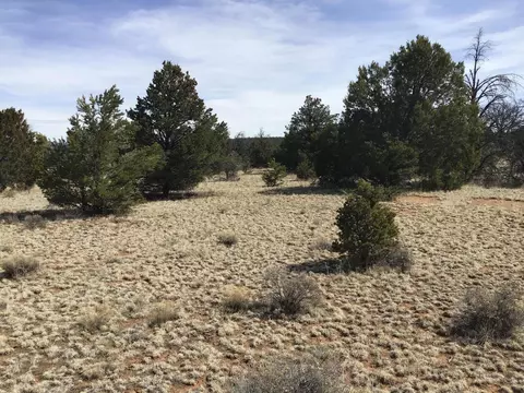 lot15 Country Ln, Ramah, NM 87321