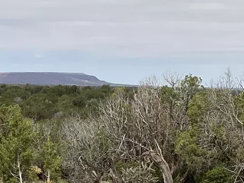 10 Bull Canyon Loop, Newkirk, NM 88431