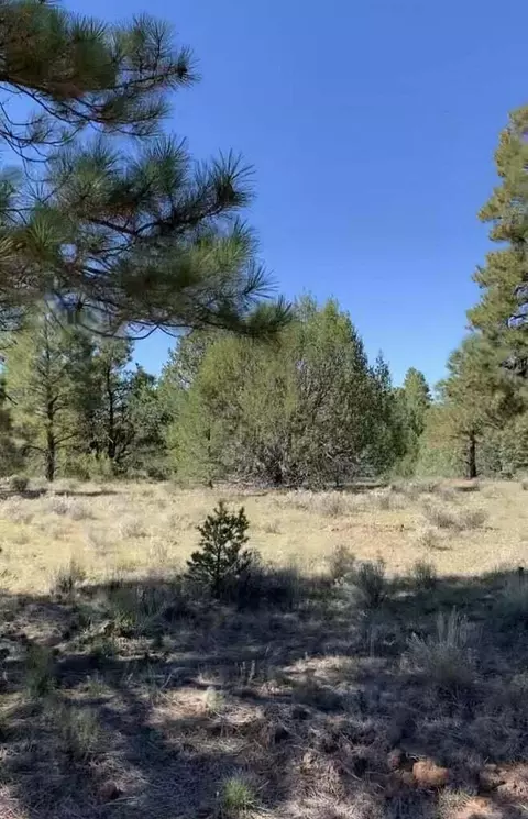0 Cerro Leonides Rd, Grants, NM 87020