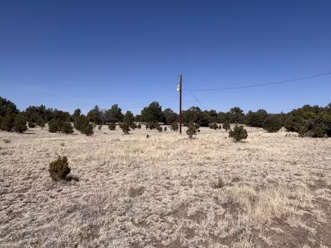 233 Turquoise Trl, Datil, NM 87821 photo 31