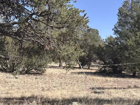 233 Turquoise Trl, Datil, NM 87821 photo 37
