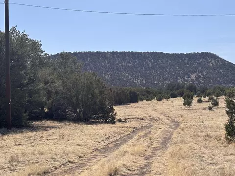 233 Turquoise Trl, Datil, NM 87821 photo 32