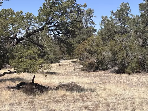 233 Turquoise Trl, Datil, NM 87821 photo 38