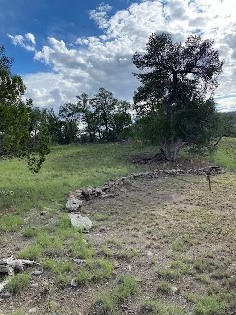 233 Turquoise Trl, Datil, NM 87821 photo 44