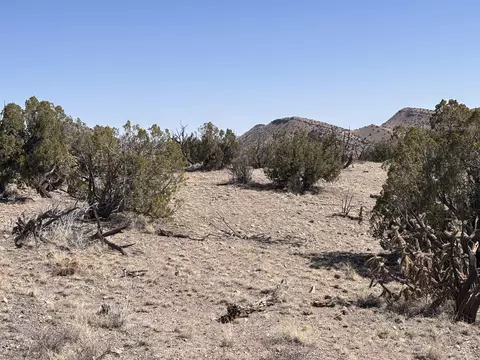 233 Turquoise Trl, Datil, NM 87821 photo 36