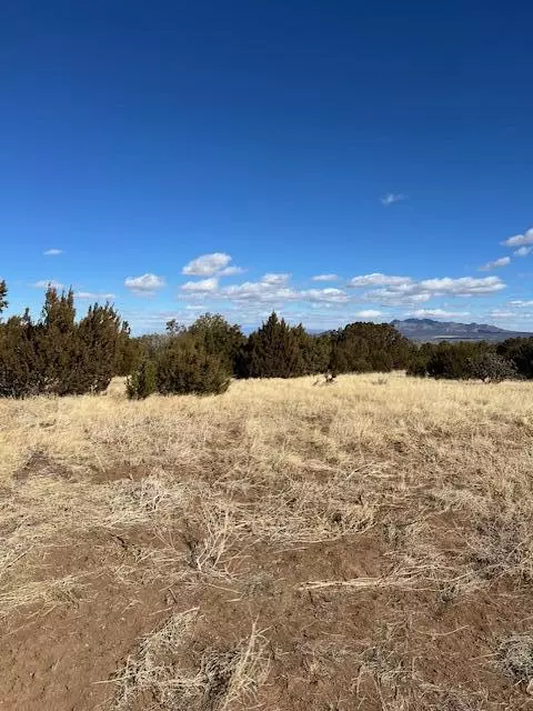 Kings Meadow Road, Sandia Park, NM 87047