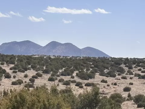 lot173 Pinon Springs Rnch, Magdalena, NM 87825