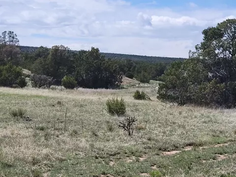 2 Woodland Dr, Moriarty, NM 87035