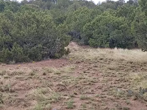 60 High Vista Dr, Moriarty, NM 87035