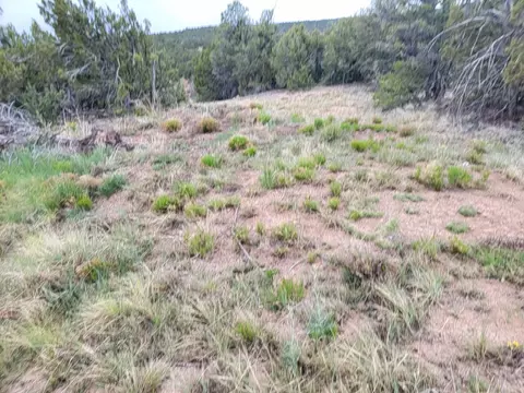 26 High Vista Dr, Edgewood, NM 87015