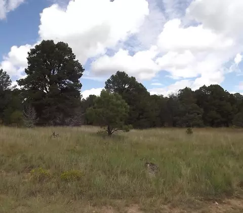 36 Plant Rd, Edgewood, NM 87015