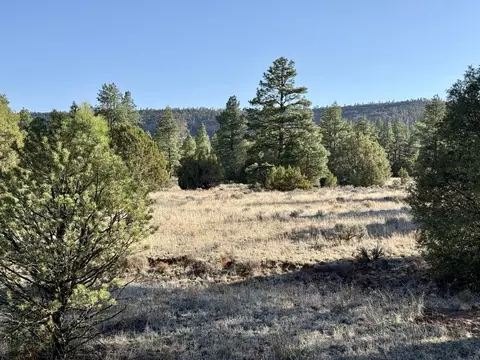 lot21 Cottonwood Ln, Ramah, NM 87321