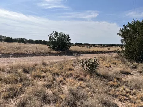 lot3904 Blk 1 Valle De Manana, Socorro, NM 87801