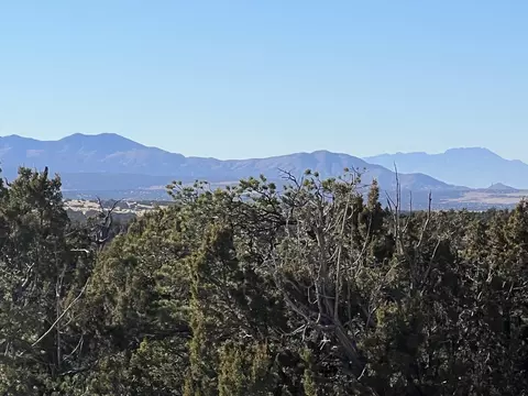 1957 Deer Canyon Trl, Mountainair, NM 87036