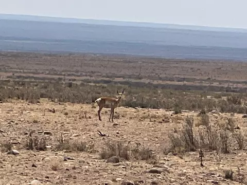 Rolling Hills Lot 47, San Antonio, NM 87801
