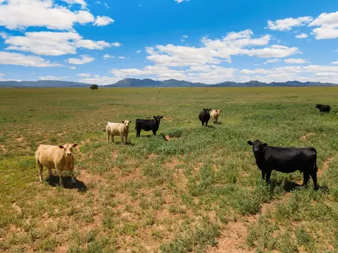 Undisclosed, Stanley, NM 87056