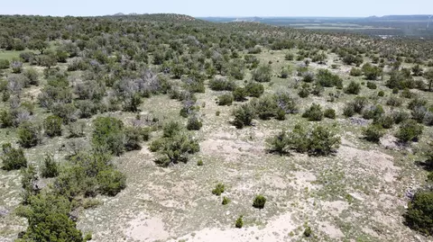 lot17 Swayback Trl, Corona, NM 88318