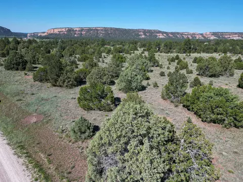 lot15 Buttonwood Dr, Ramah, NM 87321